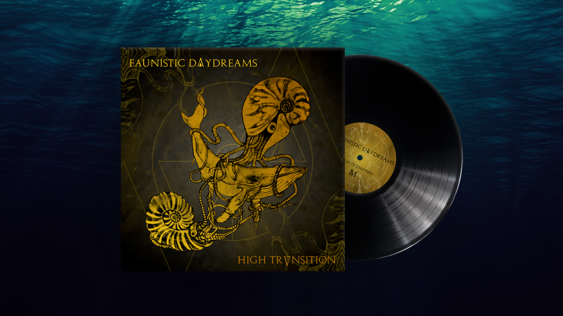 High Transition Faunistic Daydreams